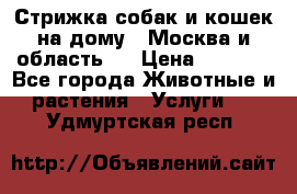 Стрижка собак и кошек на дому.  Москва и область.  › Цена ­ 1 200 - Все города Животные и растения » Услуги   . Удмуртская респ.